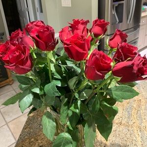 Meet your Posher, Eileen